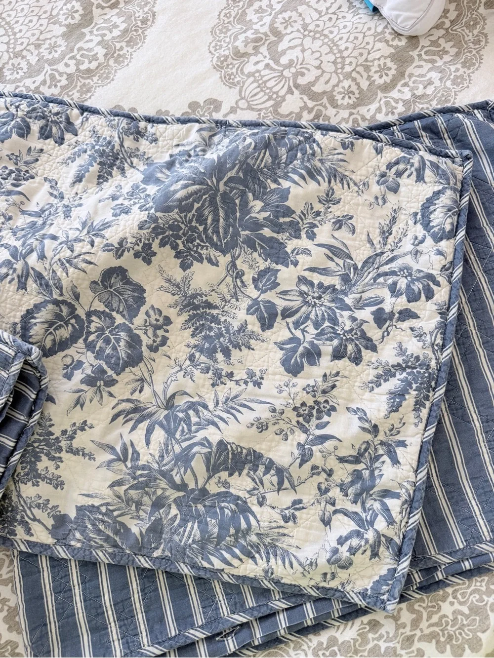 Martha Stewart Blue Toile Stripe Shams Pair